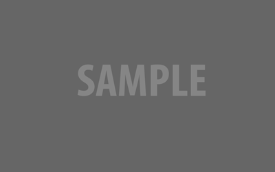 sample_400x250